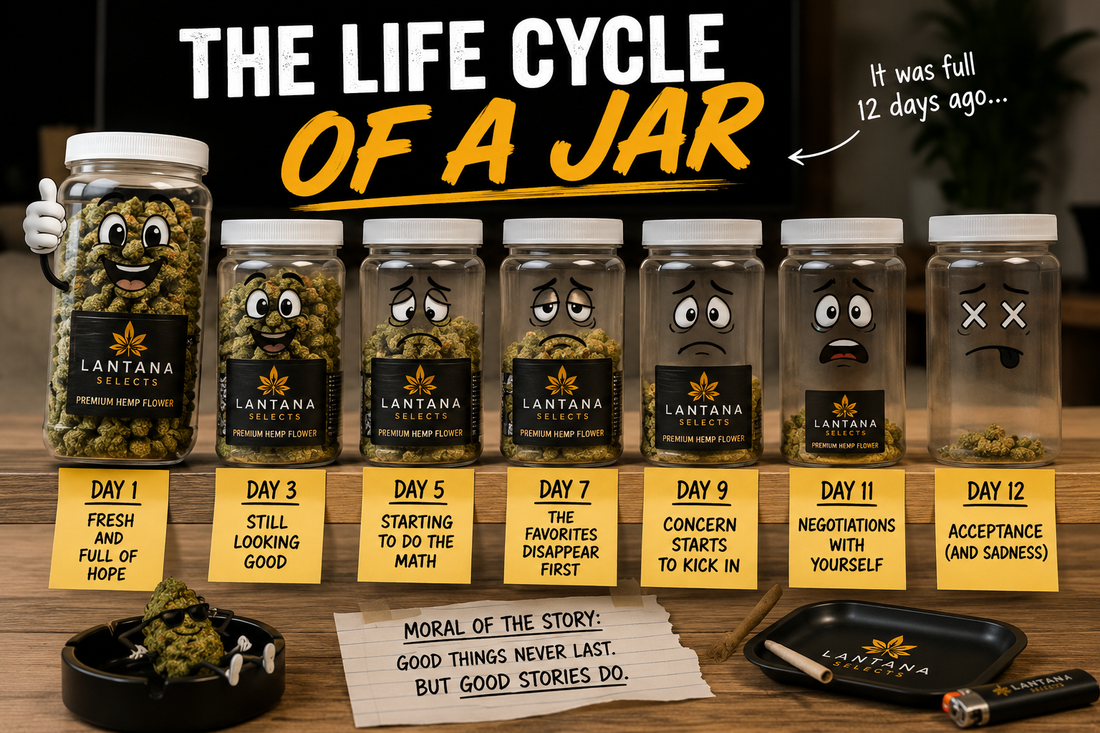 The Life Cycle of a Jar