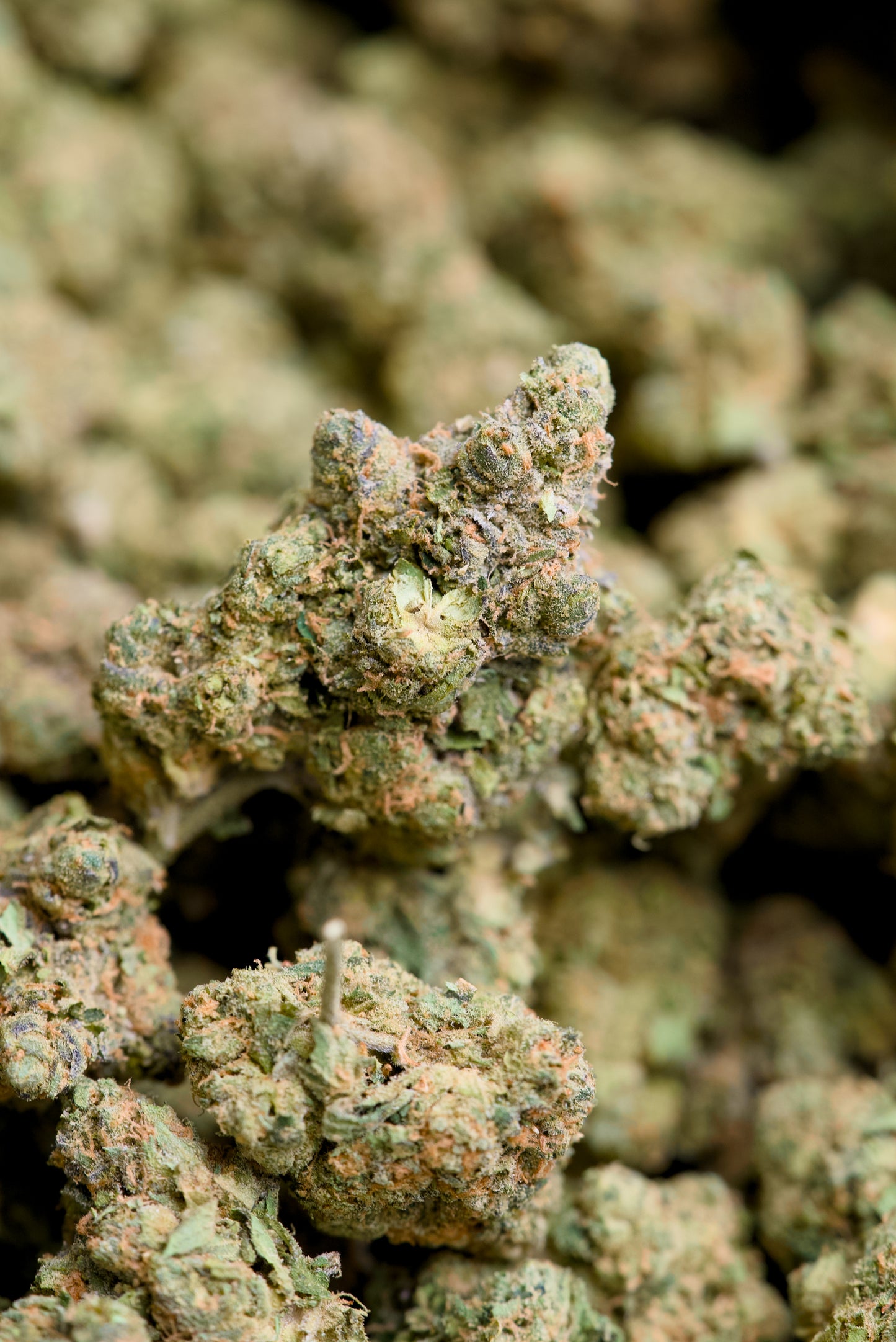 3.5 Gram Top Shelf Hemp Flower