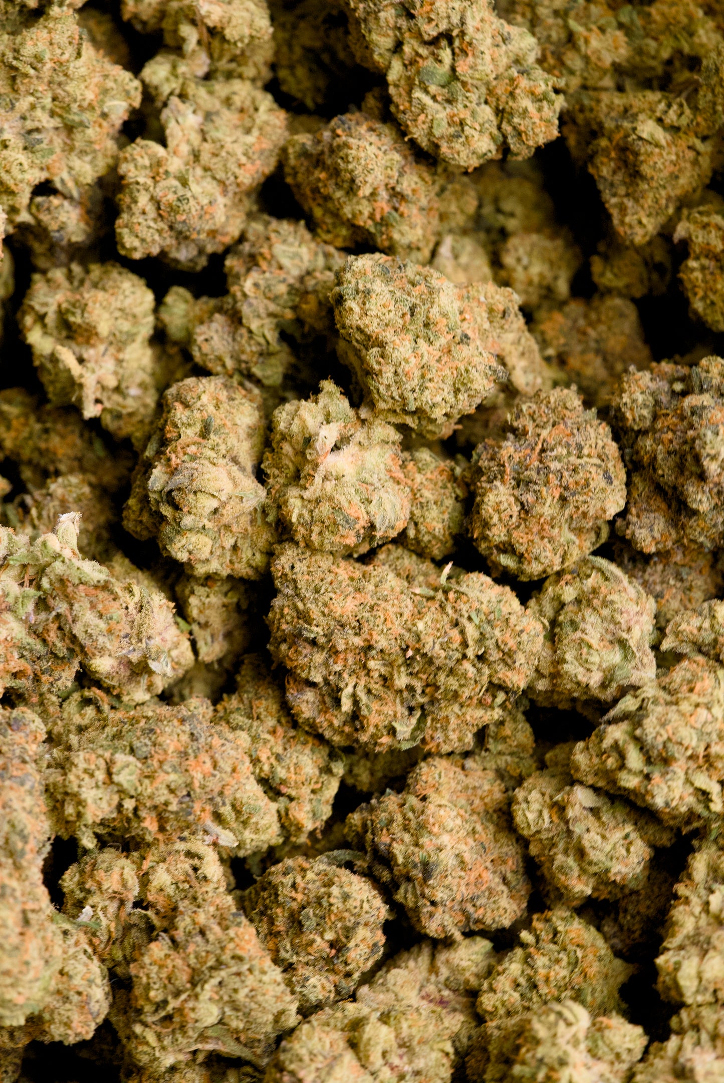 3.5 Gram Top Shelf Hemp Flower