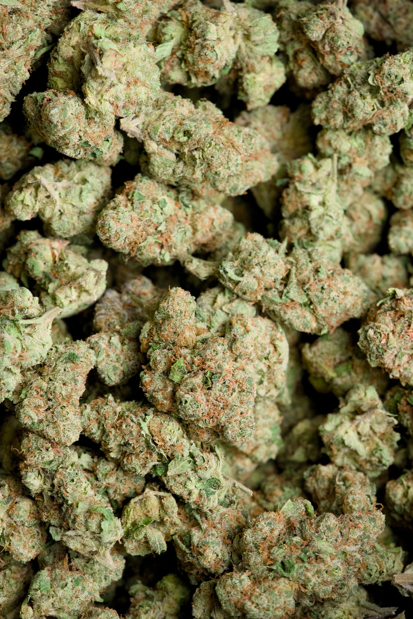 3.5 Gram Top Shelf Hemp Flower