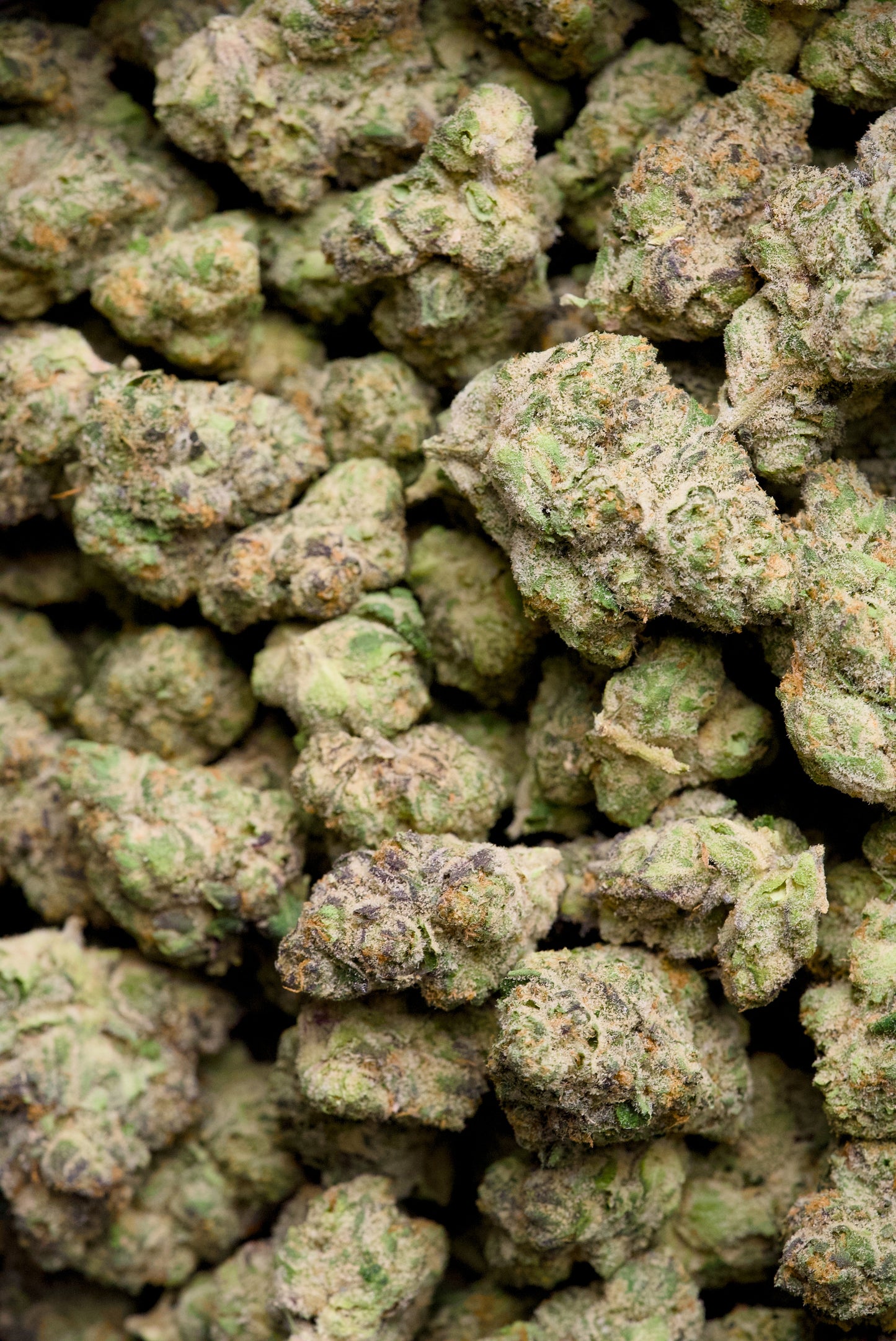 3.5 Gram Top Shelf Hemp Flower