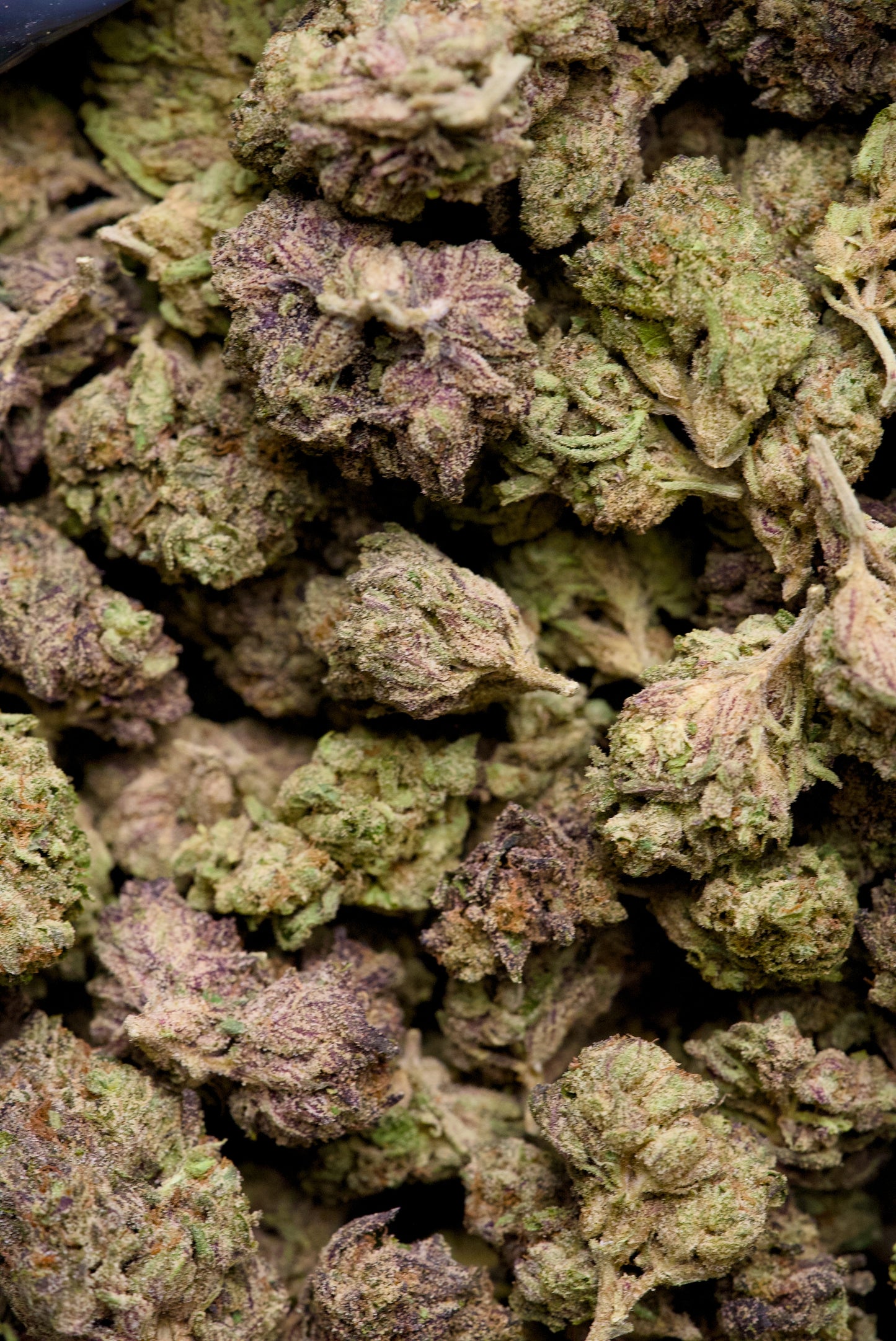 3.5 Gram Top Shelf Hemp Flower