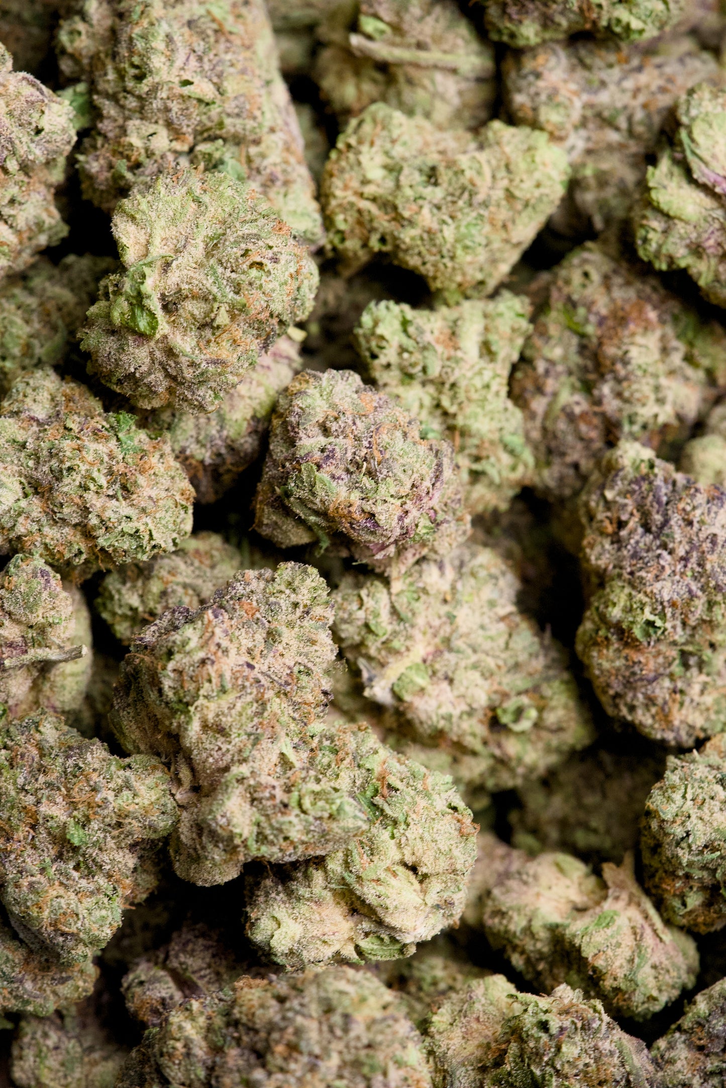 3.5 Gram Top Shelf Hemp Flower