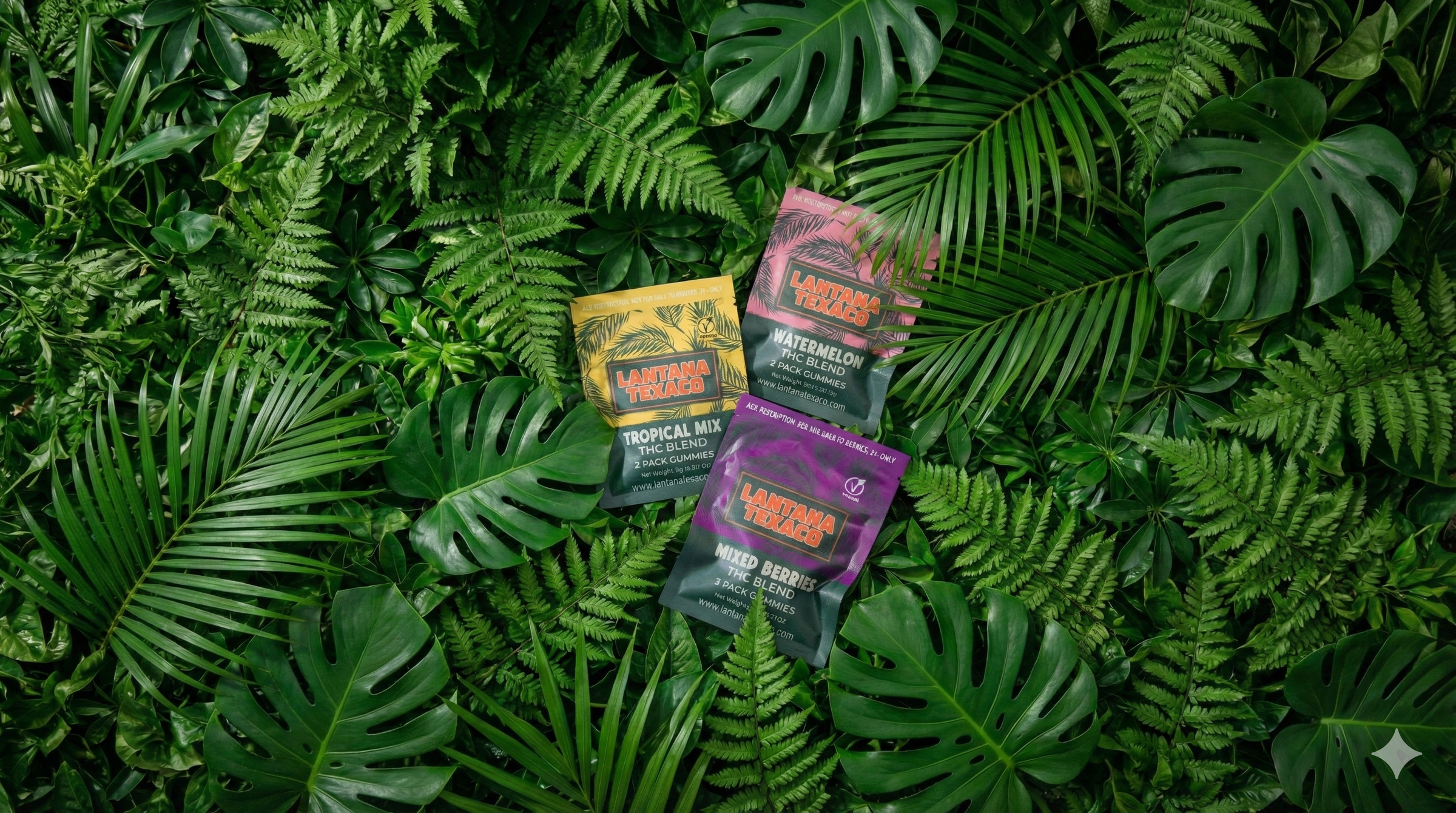 Rocket Fuel & Lantana Texaco